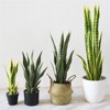 Artificial Snake Plant,Fake Sansevieria Fake Agave Potted Plants Plastic Greenery for House Living Room Home Office Outside Garden Decoration - 3 of 4