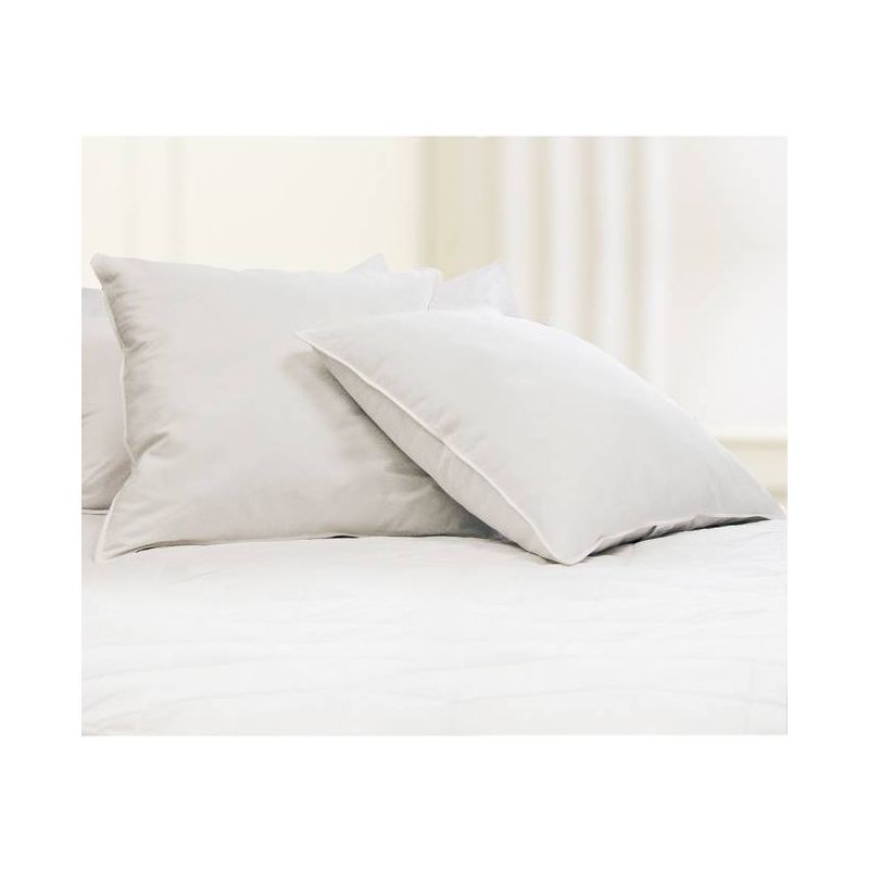 Feather Filled Euro Square Pillow White 2pk - Blue Ridge Home Fashions, 1 of 6