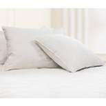 Feather Filled Euro Square Pillow White 2pk - Blue Ridge Home Fashions