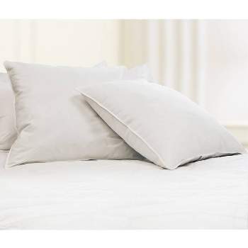 Feather Filled Euro Square Pillow White 2pk - Blue Ridge Home Fashions