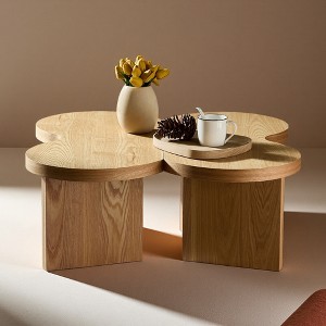31.49" MDF Butterfly-Shape Coffee Table - 1 of 4