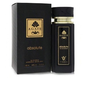 Dumont Agate Absolute by Dumont Paris Men Eau De Parfum Spray 3.4 oz - 1 of 1