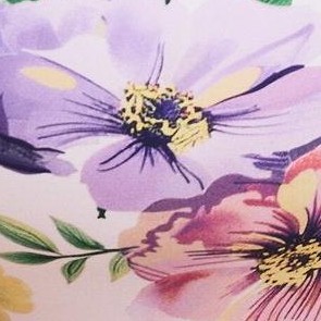 garden party c01