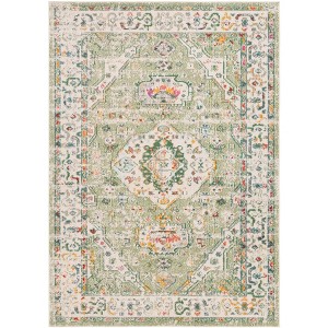 Madison MAD468 Non-Shedding Power Loomed Indoor Rugs - Safavieh - 1 of 4
