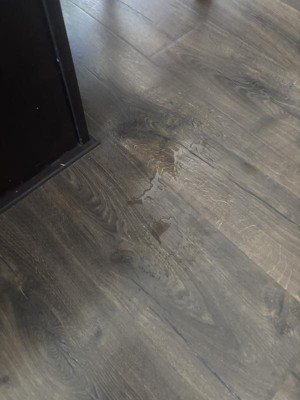 Guest review image 1 of 1, zoom in