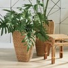 Plum & Post Seagrass Tall Square Planters, Set Of 2 - 2 of 4