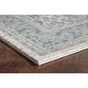 Rugs America Elise Oriental Transitional Area Rug - 4 of 4
