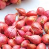 Van Zyverden 25ct Allium Red Bulbs - 2 of 4