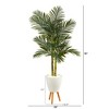 Nearly Natural 70-in Golden Cane Artificial Palm Tree in White Planter with Stand - 2 of 3