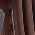 burnt umber