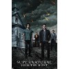 Trends International Supernatural - Church Unframed Wall Poster Prints - 4 of 4