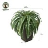 DR.Planzen Artificial Fern Plant in 15.7"/16'' Plastic Planter (3 Colors) - Faux Indoor/Outdoor Floor Plants Tall House Plant (Set of 2) - 2 of 4