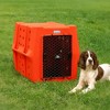 Dakota 283 Canine Rough and Tough Economy Pet Kennel, Heavy Duty Crate for Dogs and Cats with Ventilation Holes, Intermediate, Orange - 4 of 4
