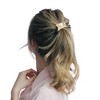 Unique Bargains Women's Irregular Design Ponytail Buckle Hair Clip 1 Pc - 3 of 4