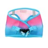 Doggie Design American River Choke Free Dog Harness Ombre Collection-Sugar Plum - 2 of 4