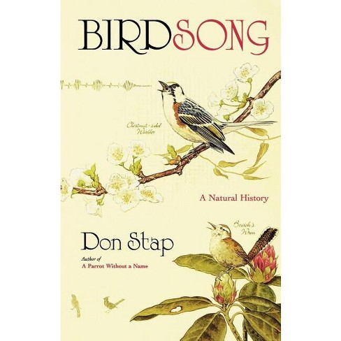 The Unsung Hero Of Birdsong, Usa - By Brenda Woods (paperback