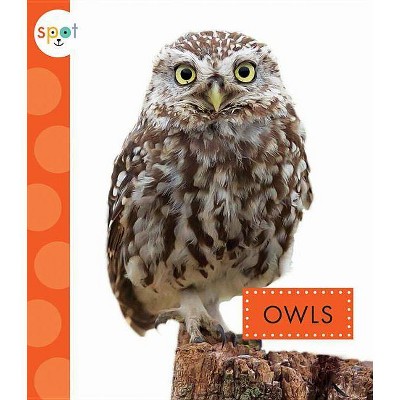 Owls - (Spot) by  Wendy Strobel Dieker (Paperback)