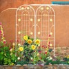 2 Pack Metal Garden Trellis 71" x 19.7" Rustproof Trellis for Climbing Plants Outdoor Flower Support Green - 3 of 4