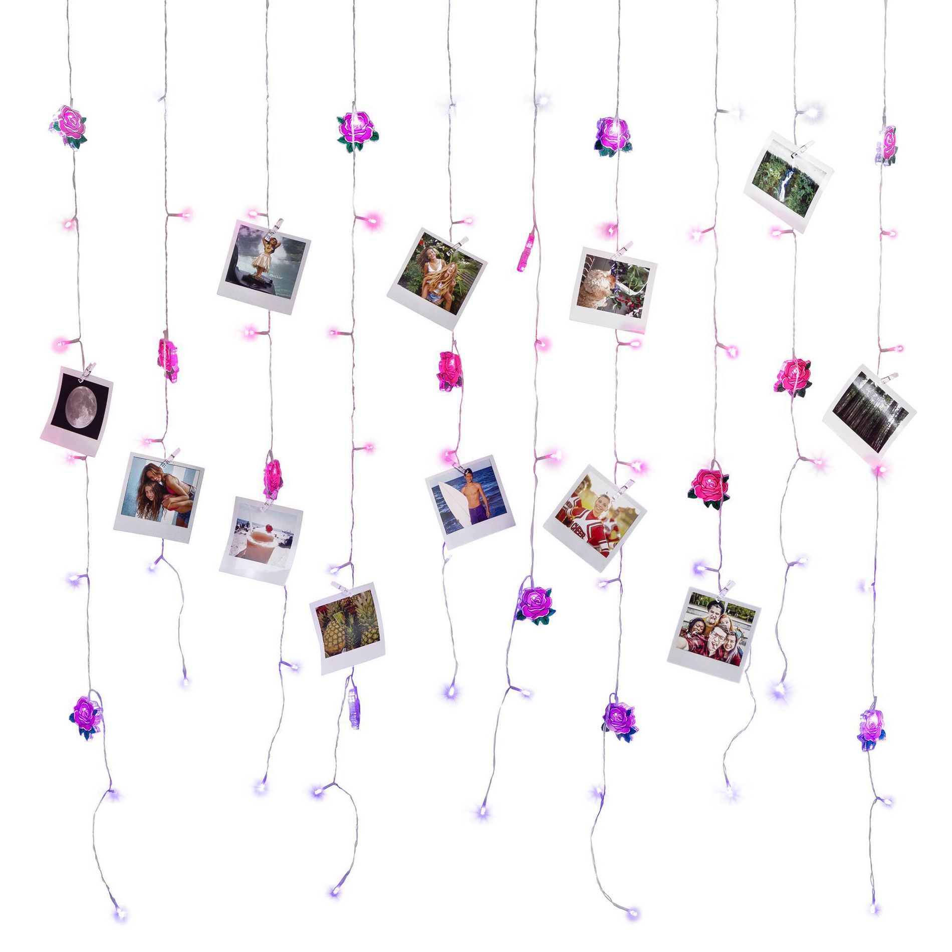 Celestial Garden Roses Curtain Lights with Clips