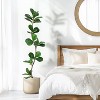Artificial Fiddle Leaf Fig Tree, Fake Plant with Black Planter, Large Floor Plants for Home or Office Decor, Artificial Plants Indoor - 3 of 4