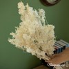 Uniquewise Preserved Real Floral Stems Chic Vase Fillers & Accents for Bouquets Centerpieces - 4 of 4