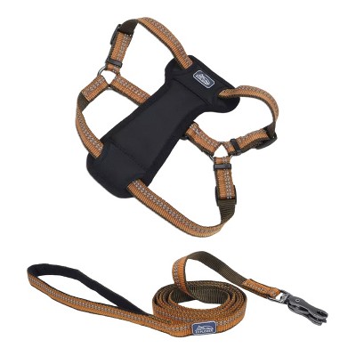K9 Explorer by Coastal Pet Dog Leash Set - Reflective Adjustable Dog Harness (1" x 26"–38") & Reflective Dog Leash with Scissor Snap 1" x 6')