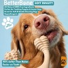 BetterBone Soft Classic Nylon Free Dog Bone Chew Toy - 3 of 4