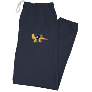 University of California Irvine Officially Licensed Apparel - Primary Logo School Color Jogger Sweatpants - 1 of 4