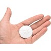 Collectible Wildlife Gifts | Sand Dollar, Sea Cookies, Flat Sea Urchins Shell, Ocean, Sea Life, Plastic ,  Animal, Gift,  1 3/4"   F4110 B96 - 4 of 4