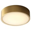 Oxygen Lighting Peepers 1 - Light Flush Mount in  Aged Brass - 2 of 2