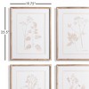 Plum & Post Blush Botanical Study, Set Of 4 - 2 of 3