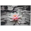 PPD Glossy Photo Paper 11x14" 50 sheets 255 gsm for Inkjet Printers - 4 of 4