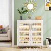 Hommoo Shoe Cabinet with Acrylic Doors and LED Light - 4 of 4