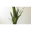 Artificial Sansevieria Plant – 54" Tall Faux Floor Decor by Kalalou - 2 of 3
