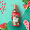 Beloved Foaming Hand Wash - Watermelon & Mint Mojito - 8oz - 4 of 4