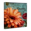 Stupell Industries Daisies with Antique French Backdrop, 30" x 30" - 3 of 4