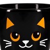 Plastic Basket Cat - Bullseye's Playground™ - 3 of 3