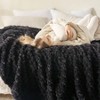 Soft Premium Silky Flannel Fleece 3D Clouds Stylish Jacquard Lightweight Bed Blanket All Season Use 350GSM Black, Twin60x80 - 3 of 4