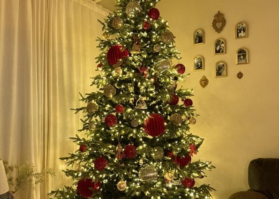 Guest review image 1 of 1, zoom in