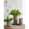 SKRAN Set of 2 Cement Planter, Round Creative Basket Planters, for Home Garden/Tabletop/Indoor Outdoor Home Decor, Farmhouse Kitchen, Antique Gray - 2 of 4