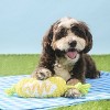 BARK Spring Picnic in the Bark Corn on the Tug Dog Plush Toy - 4 of 4