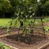 Cucumber Trellis, 4ftx 4ft Metal A-Frame Garden Trellis Climbing Plant Outdoor Support Fruit Grape Vine Vegetable Tomato Pea - 2 of 4