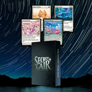 Magic The Gathering Magic TCG The Gathering Secret Lair: MTG Artist Series Johannes Voss - 1 of 4