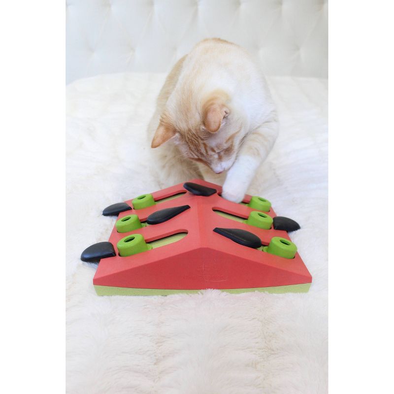 Petstages Nina Ottosson Melon Madness Interactive Treat Puzzle Cat Toy, 5 of 8