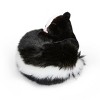 FAO Schwarz 10" Big Tails Skunk Plush - 3 of 4
