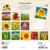 BrownTrout Sunflowers 2026 12"x24" Hanging Square Wall Calendar Plastic-Free - 2 of 4