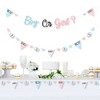 Big Dot of Happiness Baby Gender Reveal - Team Boy or Girl Party Letter Banner Decoration - 36 Banner Cutouts and Boy or Girl Banner Letters - 2 of 4