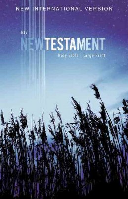 NIV, Outreach New Testament, Large Print, Paperback - by  Zondervan