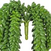 13" Artificial Donkey's Tail Bush - Vickerman: Indoor/Outdoor Decorative Faux Greenery - 3 of 3