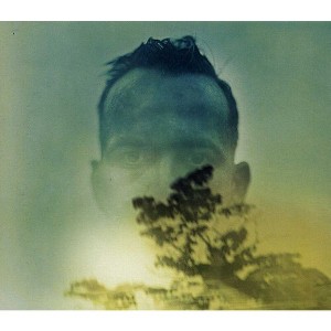 Duquette Johnston - Rabbit Runs a Destiny (CD) - 1 of 1